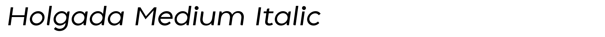 Holgada Medium Italic image